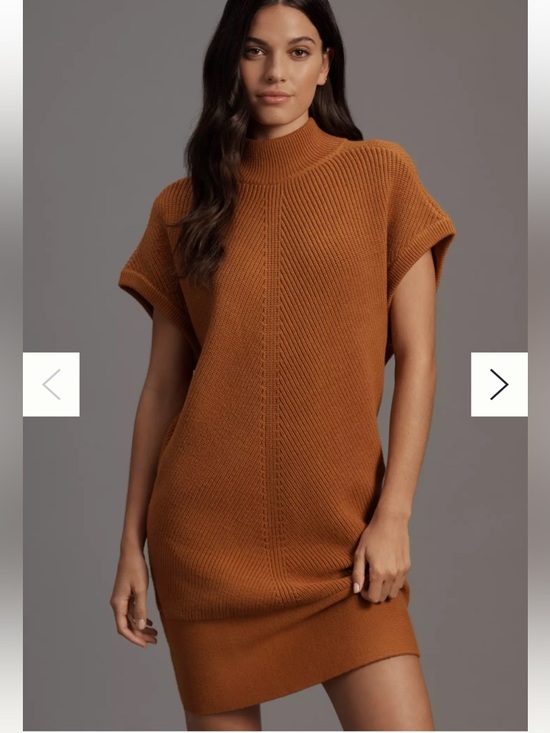 Anthropologie Dresses & Skirts - By Anthropologie Short-Sleeve Mock-Neck Sweater Mini Dress sz S